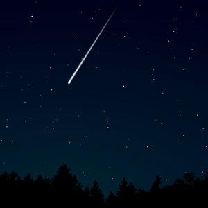 小13萝裸体自慰到高C中国人
